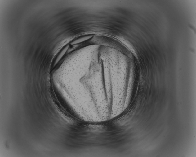X0000092210437200710121132