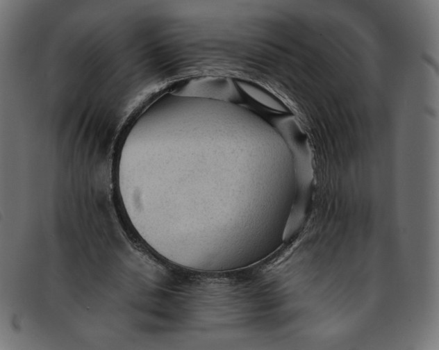 X0000092210438200710121132