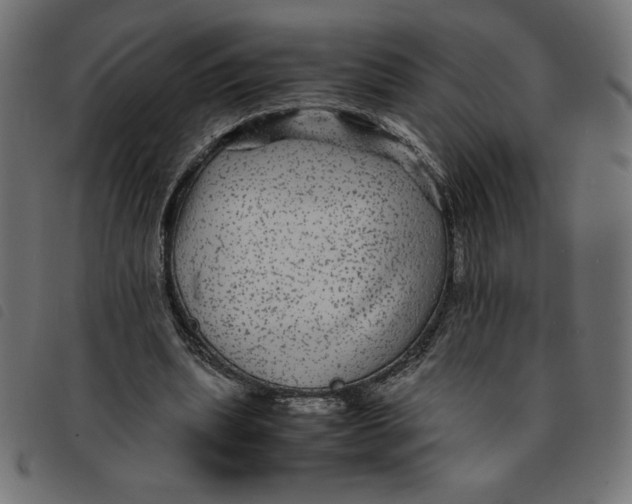 X0000092210439200710121132