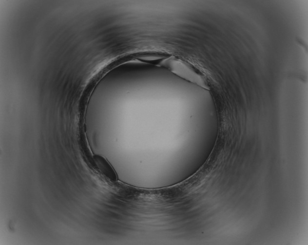 X0000092210440200710121132