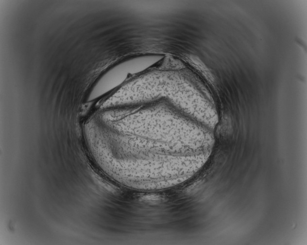 X0000092210441200710121132