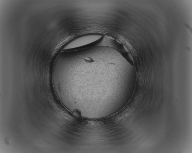 X0000092210442200710121132