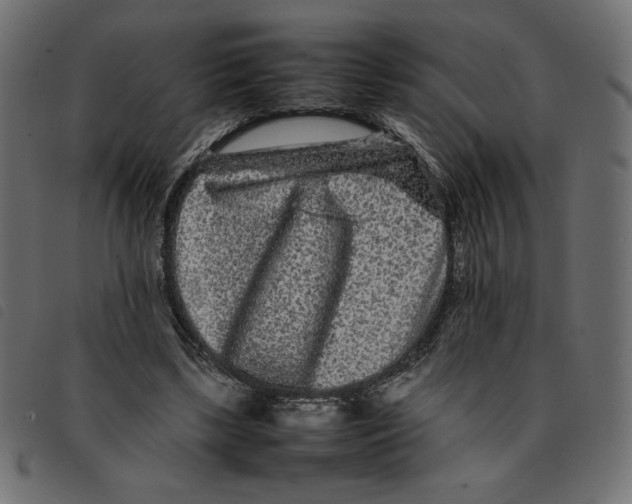 X0000092210443200710121132