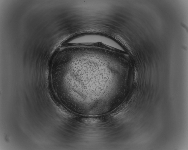 X0000092210444200710121132