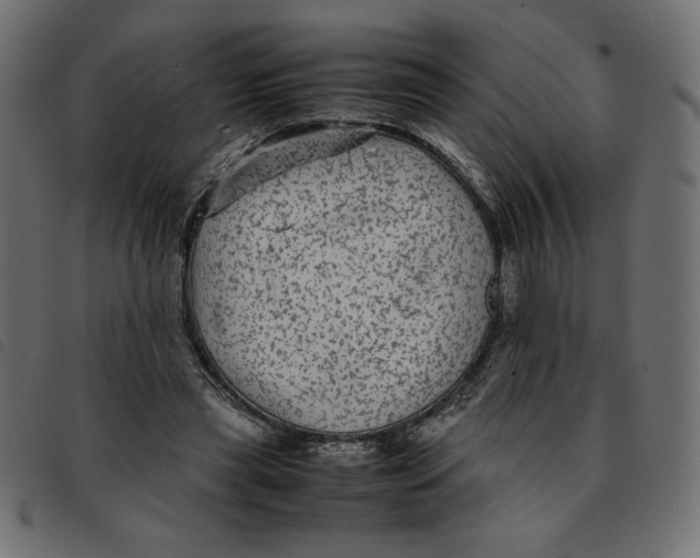X0000092210445200710121132