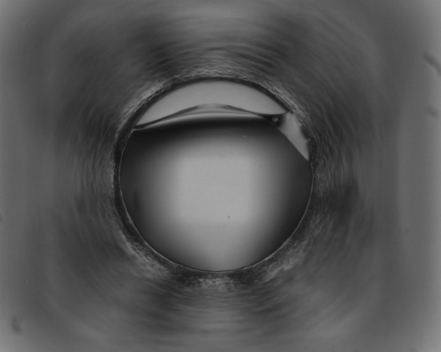 X0000092210446200710121132