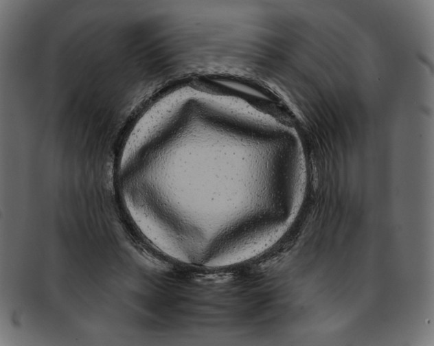 X0000092210447200710121132