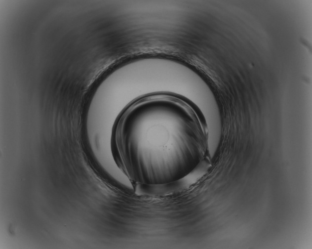 X0000092210448200710121132