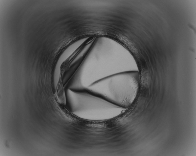 X0000092210449200710121132