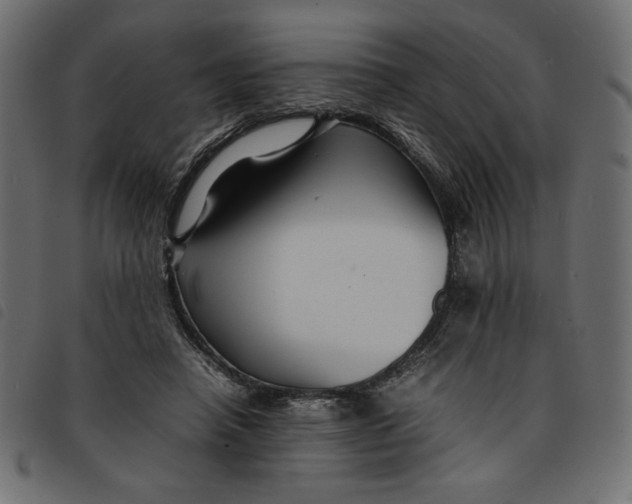 X0000092210450200710121132