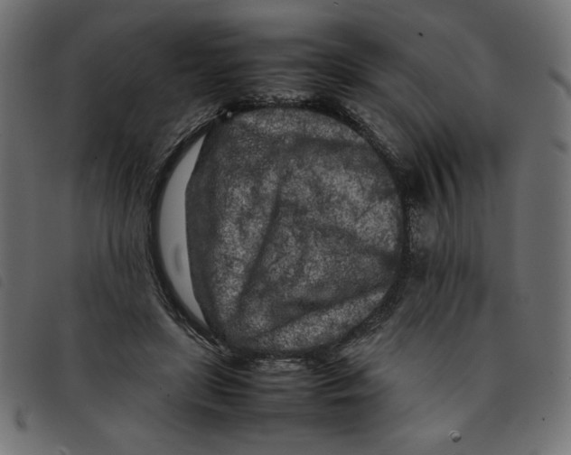 X0000092210451200710121132