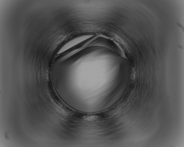 X0000092210452200710121132