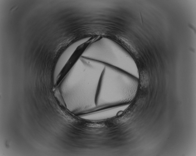 X0000092210453200710121132