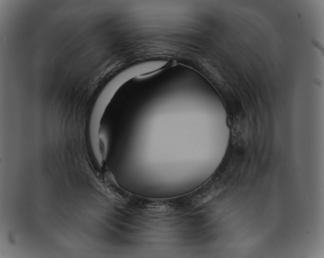 X0000092210454200710121132