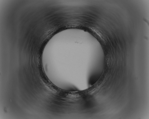 X0000092210455200710121132