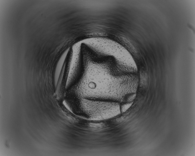 X0000092210457200710121132