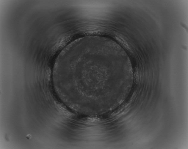 X0000092210458200710121132