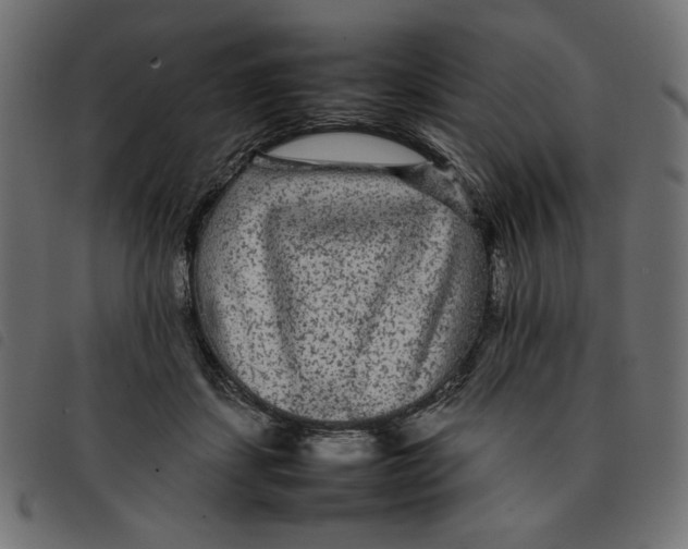 X0000092210459200710121132
