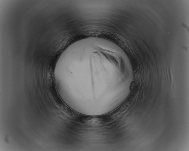 X0000092210460200710121132