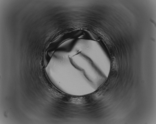 X0000092210461200710121132
