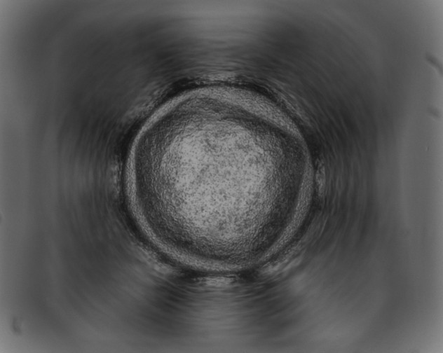 X0000092210462200710121132