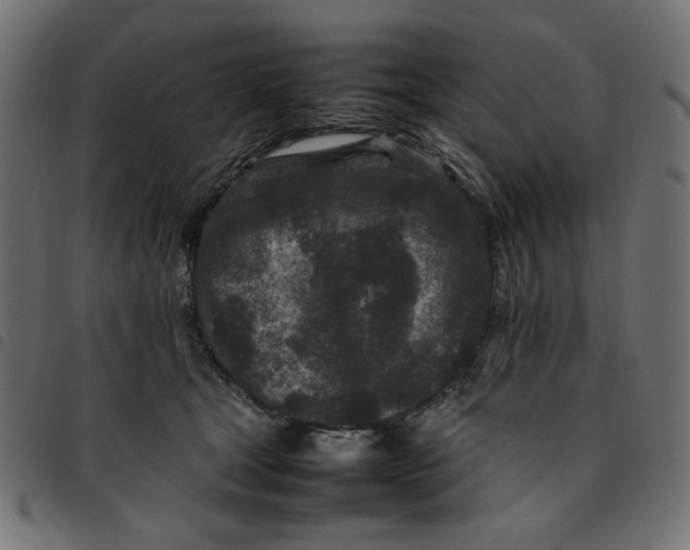 X0000092210465200710121132