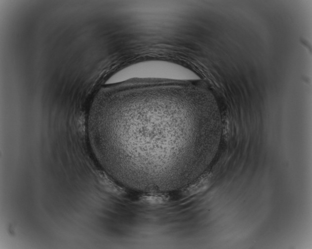 X0000092210466200710121132