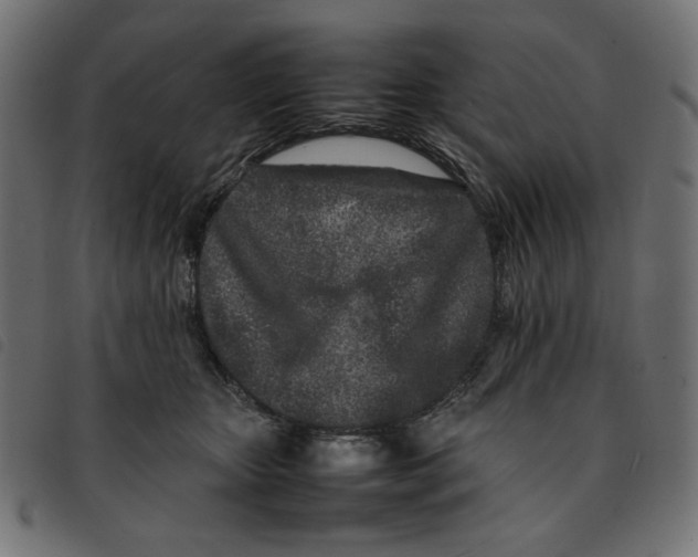 X0000092210467200710121132