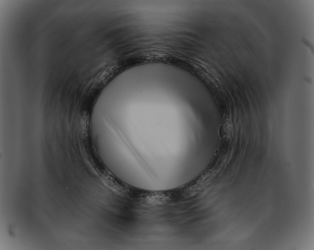 X0000092210468200710121132