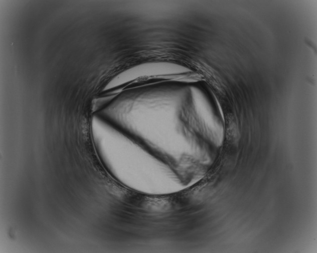 X0000092210469200710121132