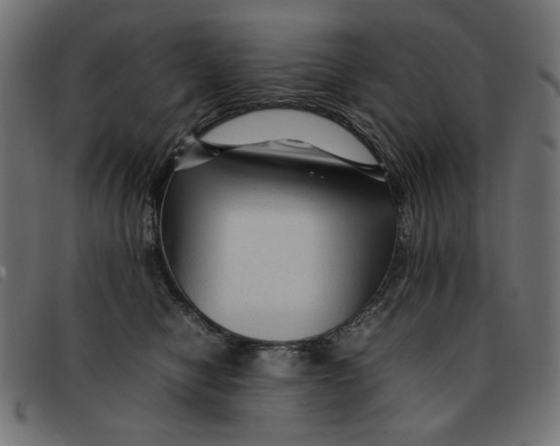 X0000092210470200710121132