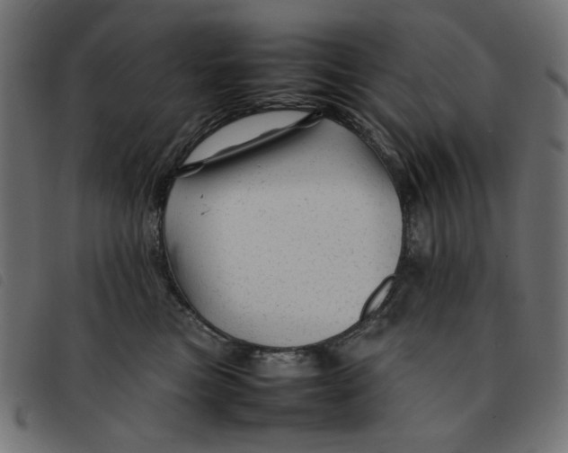 X0000092210473200710121133