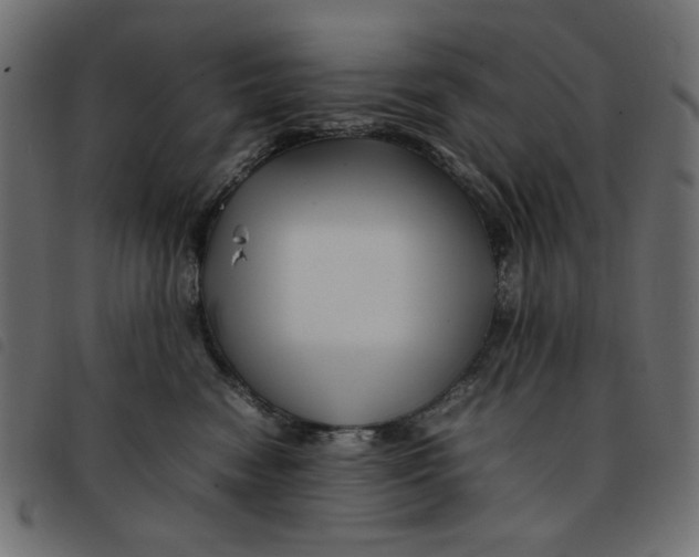 X0000092210474200710121133