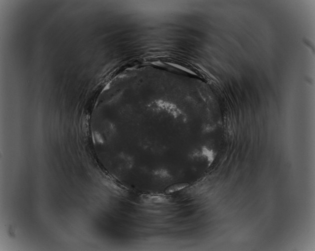 X0000092210475200710121133