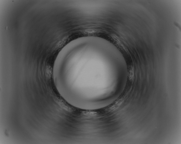X0000092210476200710121133