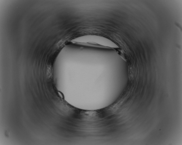 X0000092210478200710121133
