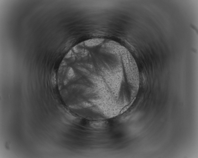 X0000092210479200710121133
