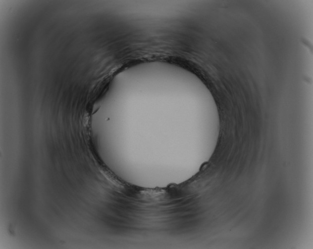X0000092210480200710121133