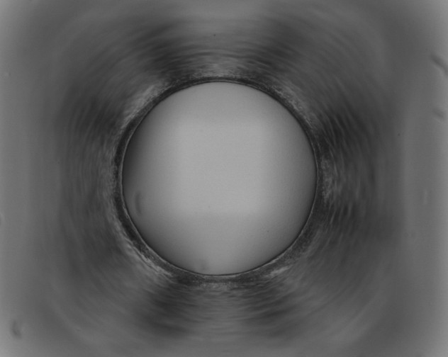 X0000092210482200710121132