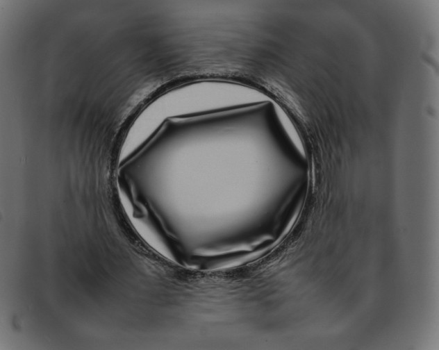 X0000092210483200710121132