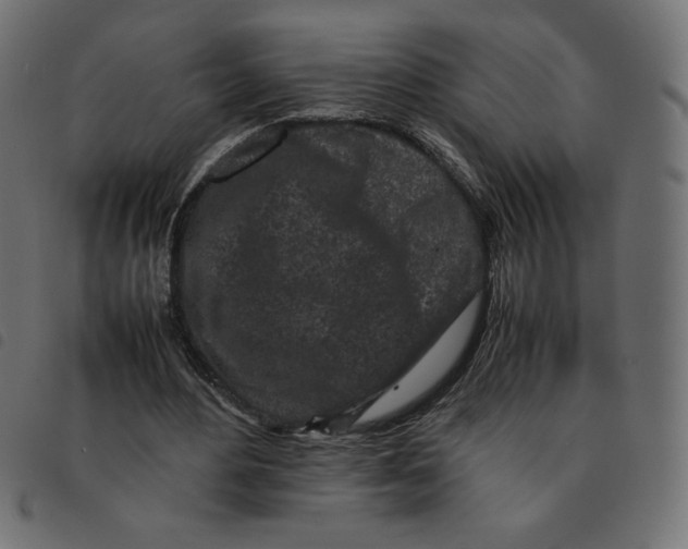 X0000092210484200710121132
