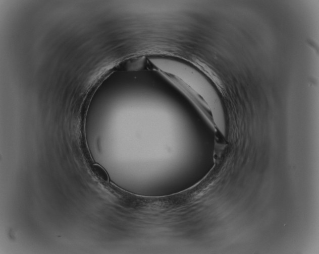 X0000092210485200710121132