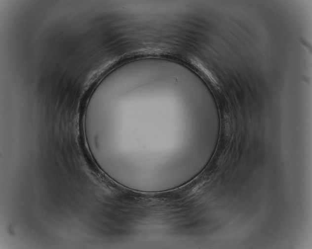 X0000092210486200710121132
