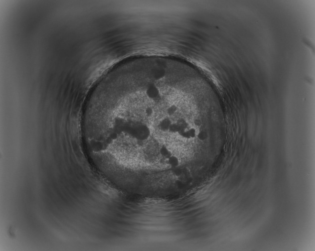 X0000092210487200710121132