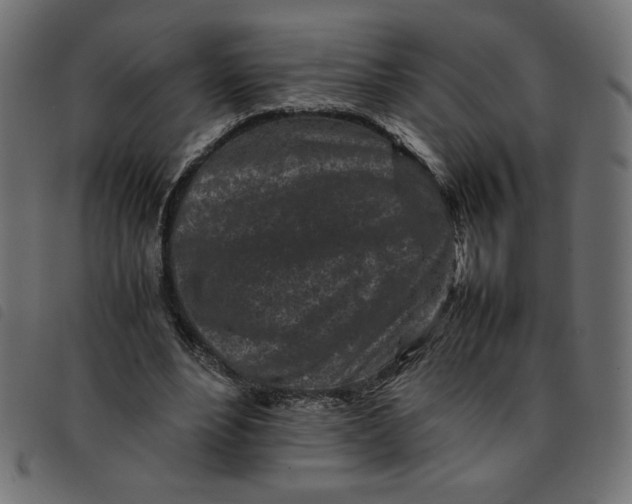 X0000092210488200710121132