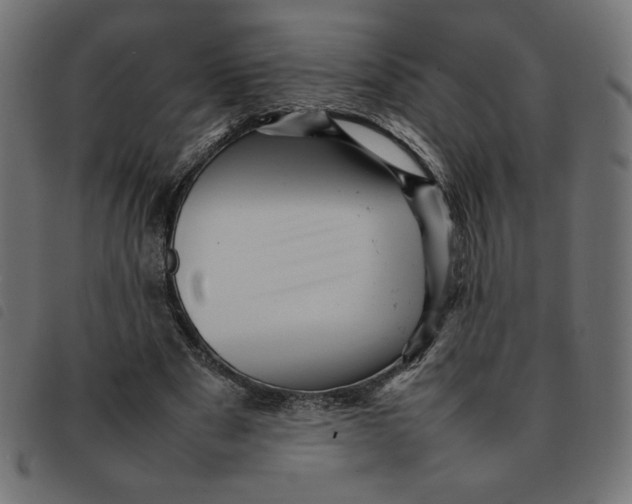 X0000092210489200710121132