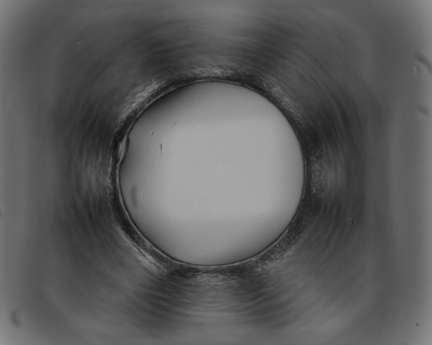 X0000092210490200710121132