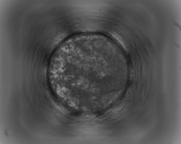 X0000092210491200710121132