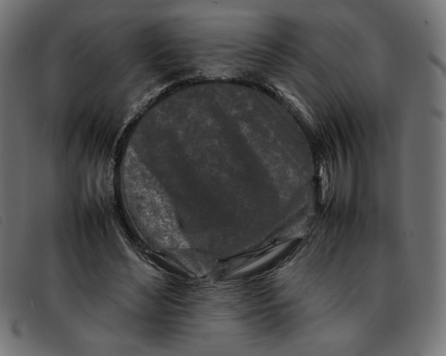 X0000092210492200710121132