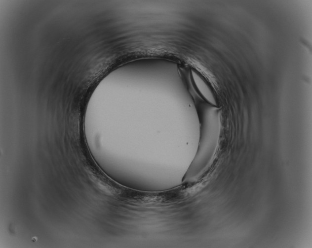 X0000092210493200710121132